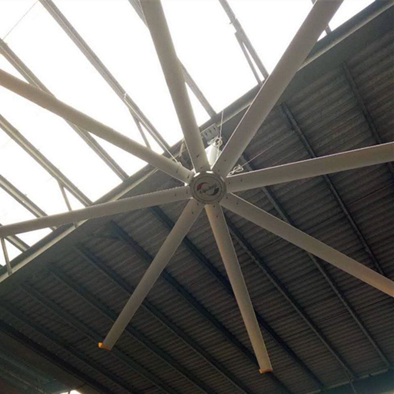 Big Wind Factory Ceiling Fans AWF66 Large Diameter 50 / 60hz With 8 Blades