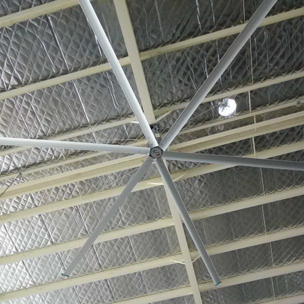 11ft 1000mm Ceiling Fan / 3.4m 6 Blade Ceiling Fan For Industrial Workshop